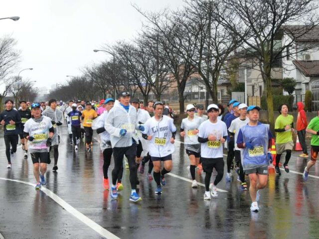 雨の激走にパワーをもらう！「新潟ハーフマラソン2026」沿道応援記
