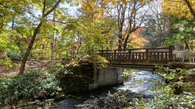 AIプランで巡る秋の軽井沢〜旧友Kご夫妻との一泊二日旅〜
